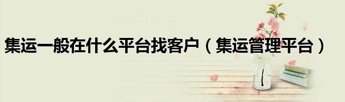 集运一般在什么平台找客户(集运管理平台)