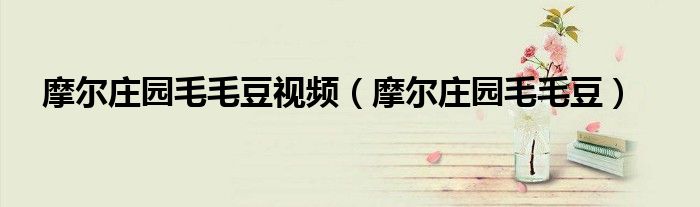 摩尔庄园毛毛豆视频(摩尔庄园毛毛豆)