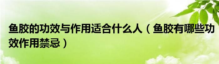 鱼胶的功效与作用适合什么人(鱼胶有哪些功效作用禁忌)
