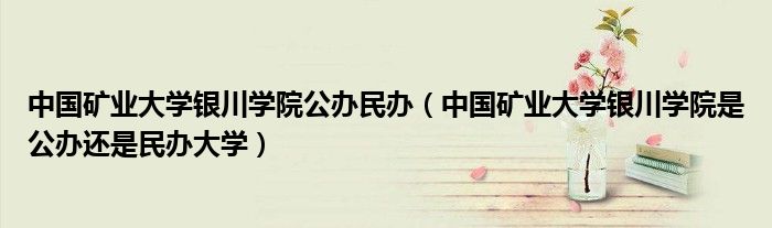 中国矿业大学银川学院公办民办(中国矿业大学银川学院是公办还是民办大学)