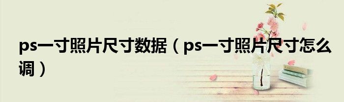 ps一寸照片尺寸数据(ps一寸照片尺寸怎么调)