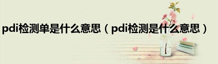 pdi检测单是什么意思(pdi检测是什么意思)