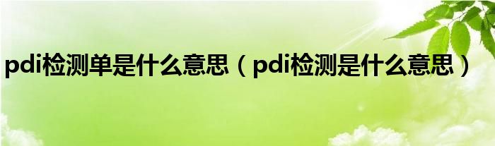 pdi检测单是什么意思(pdi检测是什么意思)
