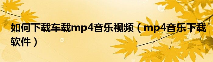 如何下载车载mp4音乐视频(mp4音乐下载软件)