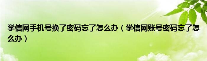 学信网手机号换了密码忘了怎么办(学信网账号密码忘了怎么办)