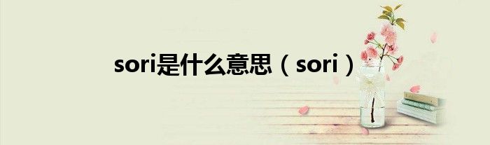 sori是什么意思(sori)