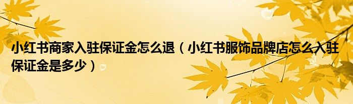 小红书商家入驻保证金怎么退(小红书服饰品牌店怎么入驻 保证金是多少)
