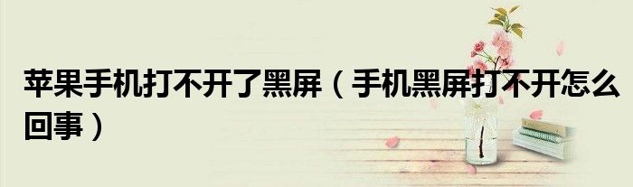 苹果手机打不开了黑屏(手机黑屏打不开怎么回事)