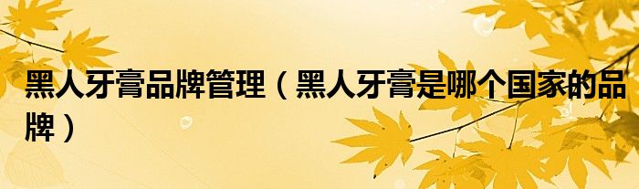 黑人牙膏品牌管理(黑人牙膏是哪个国家的品牌)