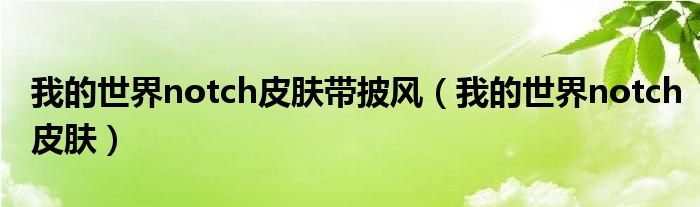我的世界notch皮肤带披风(我的世界notch皮肤)
