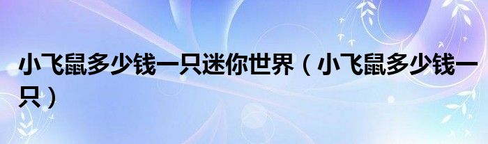 小飞鼠多少钱一只迷你世界(小飞鼠多少钱一只)