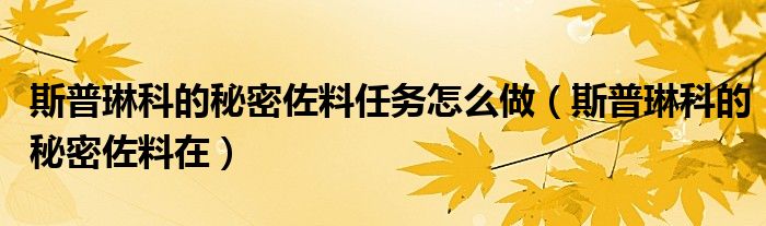 斯普琳科的秘密佐料任务怎么做(斯普琳科的秘密佐料在)