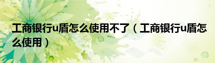 工商银行u盾怎么使用不了(工商银行u盾怎么使用)