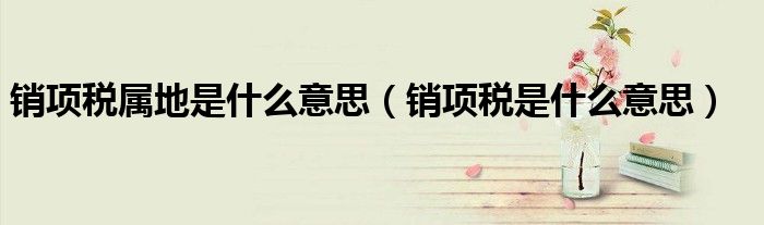 销项税属地是什么意思(销项税是什么意思)