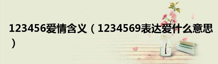 123456爱情含义(1234569表达爱什么意思)