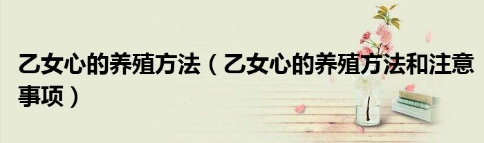 乙女心的养殖方法(乙女心的养殖方法和注意事项)