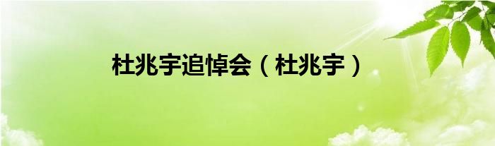 杜兆宇追悼会(杜兆宇)