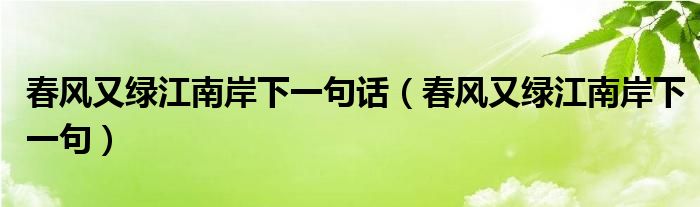春风又绿江南岸下一句话(春风又绿江南岸下一句)