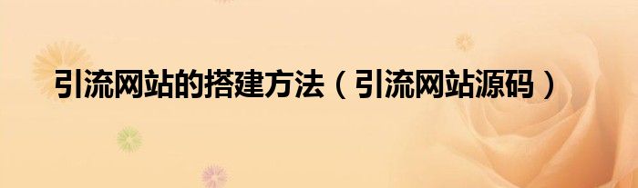 引流网站的搭建方法(引流网站源码)