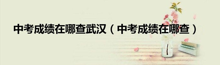中考成绩在哪查武汉(中考成绩在哪查)