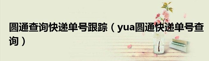 圆通查询快递单号跟踪(yua圆通快递单号查询)