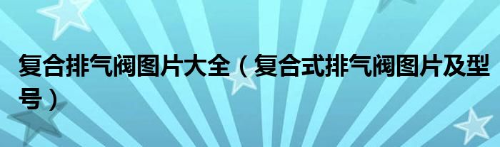 复合排气阀图片大全(复合式排气阀图片及型号)