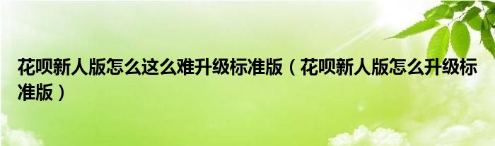 花呗新人版怎么这么难升级标准版(花呗新人版怎么升级标准版)