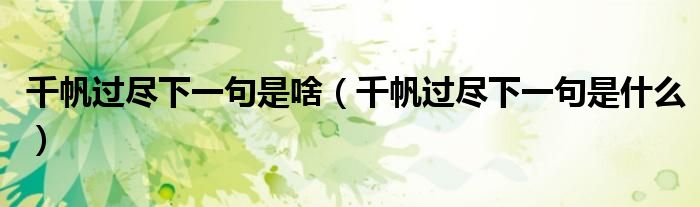 千帆过尽下一句是啥(千帆过尽下一句是什么)