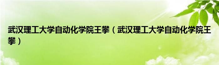 武汉理工大学自动化学院王攀(武汉理工大学自动化学院王攀)