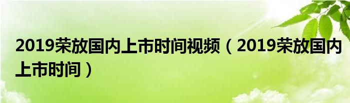 2019荣放国内上市时间视频(2019荣放国内上市时间)
