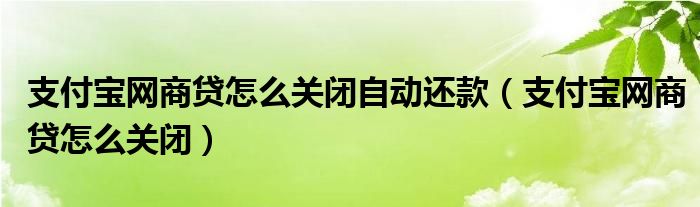 支付宝网商贷怎么关闭自动还款(支付宝网商贷怎么关闭)