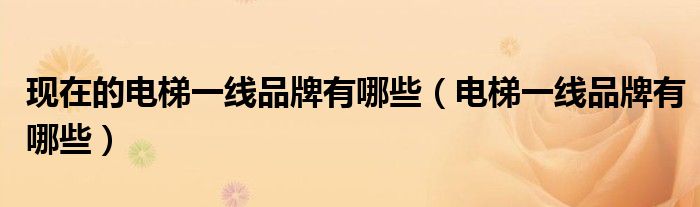现在的电梯一线品牌有哪些(电梯一线品牌有哪些)