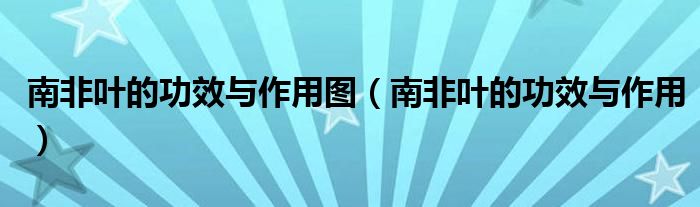 南非叶的功效与作用图(南非叶的功效与作用)