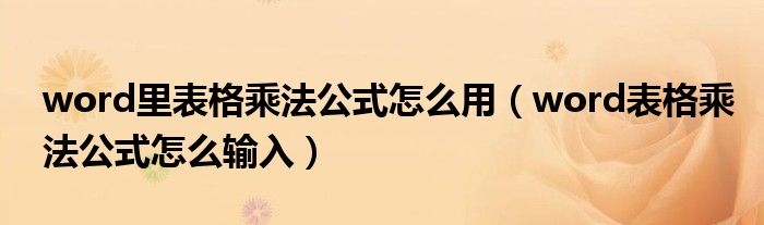 word里表格乘法公式怎么用(word表格乘法公式怎么输入)