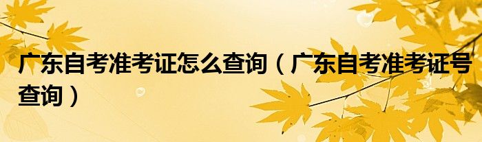 广东自考准考证怎么查询(广东自考准考证号查询)