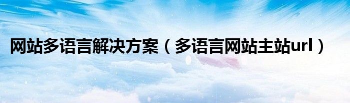 网站多语言解决方案(多语言网站主站url)