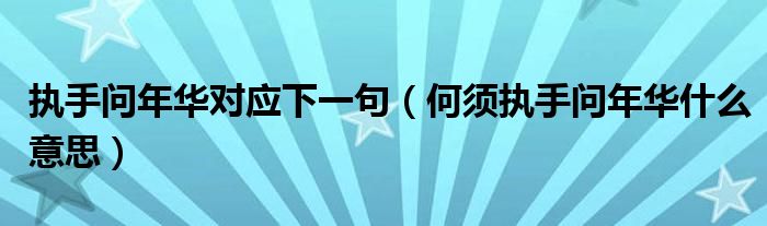 执手问年华对应下一句(何须执手问年华什么意思)