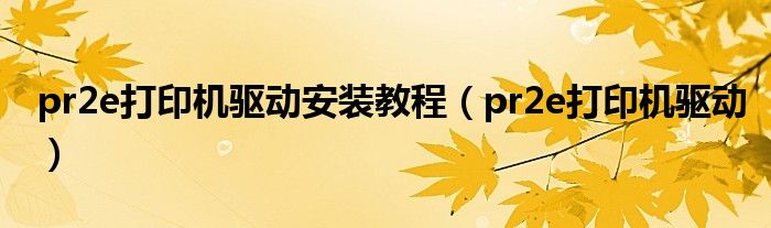 pr2e打印机驱动安装教程(pr2e打印机驱动)