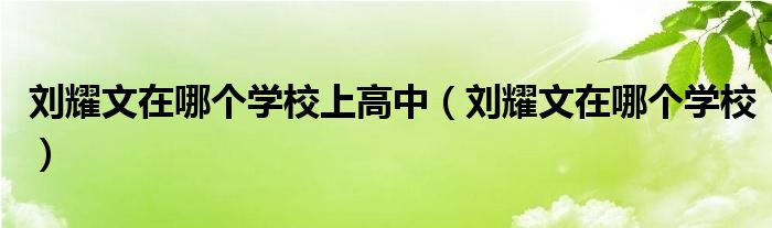 刘耀文在哪个学校上高中(刘耀文在哪个学校)