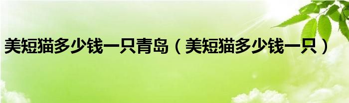 美短猫多少钱一只青岛（美短猫多少钱一只）