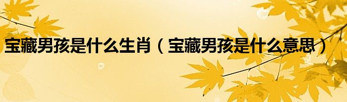宝藏男孩是什么生肖(宝藏男孩是什么意思)