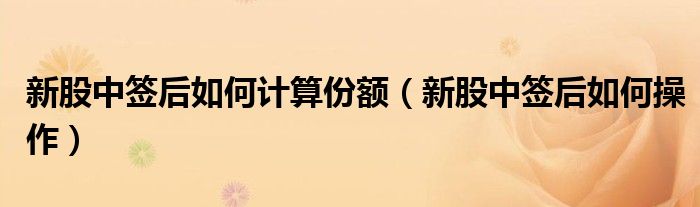新股中签后如何计算份额(新股中签后如何操作)