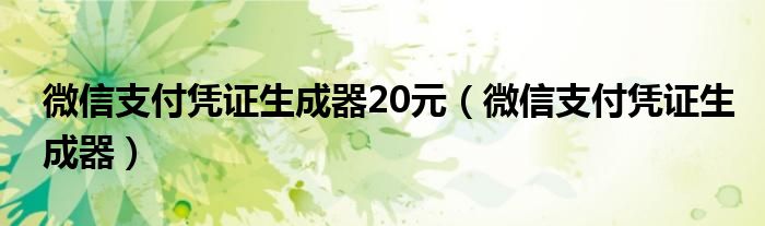 微信支付凭证生成器20元(微信支付凭证生成器)