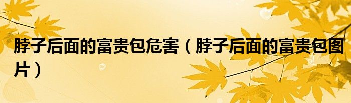 脖子后面的富贵包危害(脖子后面的富贵包图片)