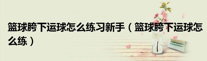 篮球胯下运球怎么练习新手(篮球胯下运球怎么练)