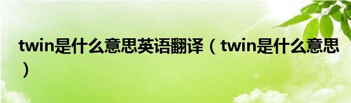 twin是什么意思英语翻译（twin是什么意思）