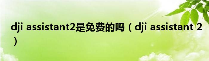 dji assistant2是免费的吗(dji assistant 2)