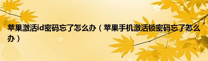苹果激活id密码忘了怎么办(苹果手机激活锁密码忘了怎么办)