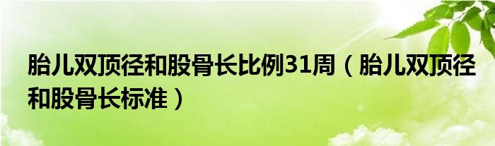胎儿双顶径和股骨长比例31周(胎儿双顶径和股骨长标准)
