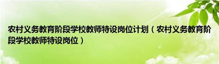 农村义务教育阶段学校教师特设岗位计划(农村义务教育阶段学校教师特设岗位)
